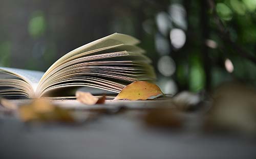 海南大學報考研究生的基本條件有哪些？