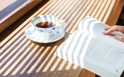 自考本科屬于成人高考嗎?