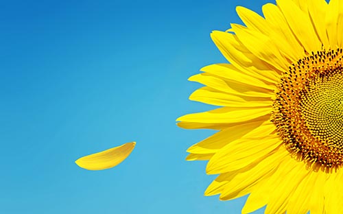 上班族參加自考應該如何學習?