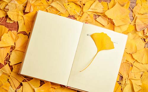 自考學校怎么選合適的? 自考學校怎么選合適的?