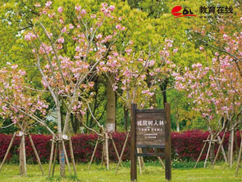 上海城建職業學院繼續教育學院校園風光