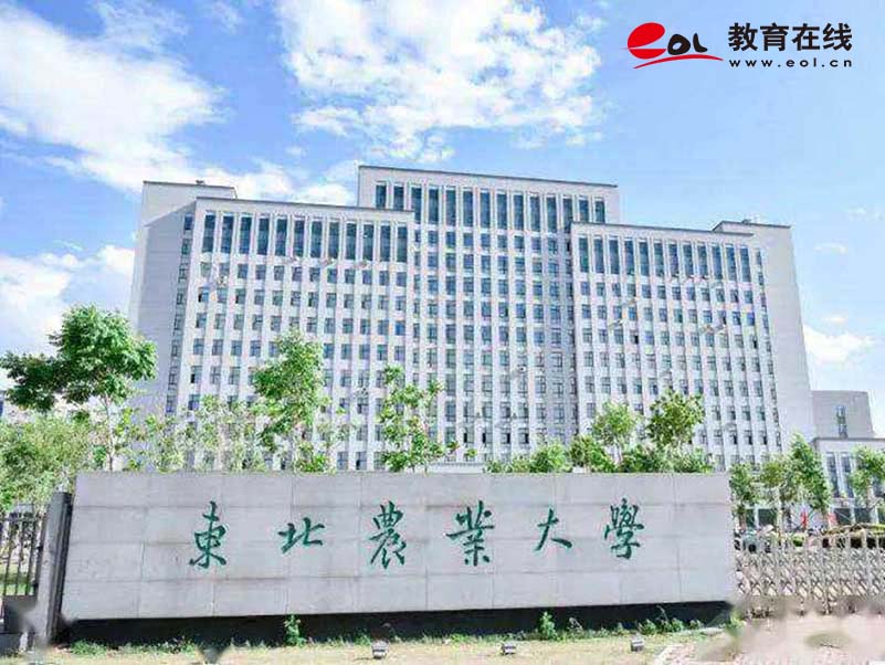 學校校園風光