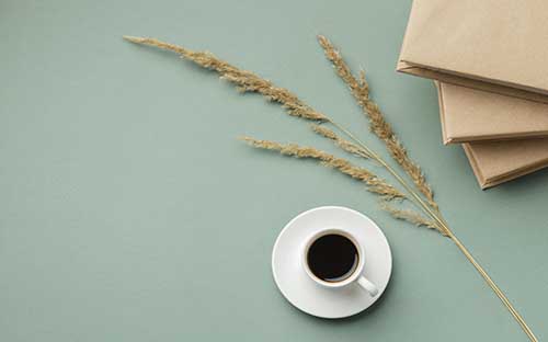 成考本科有哪些推薦專業？