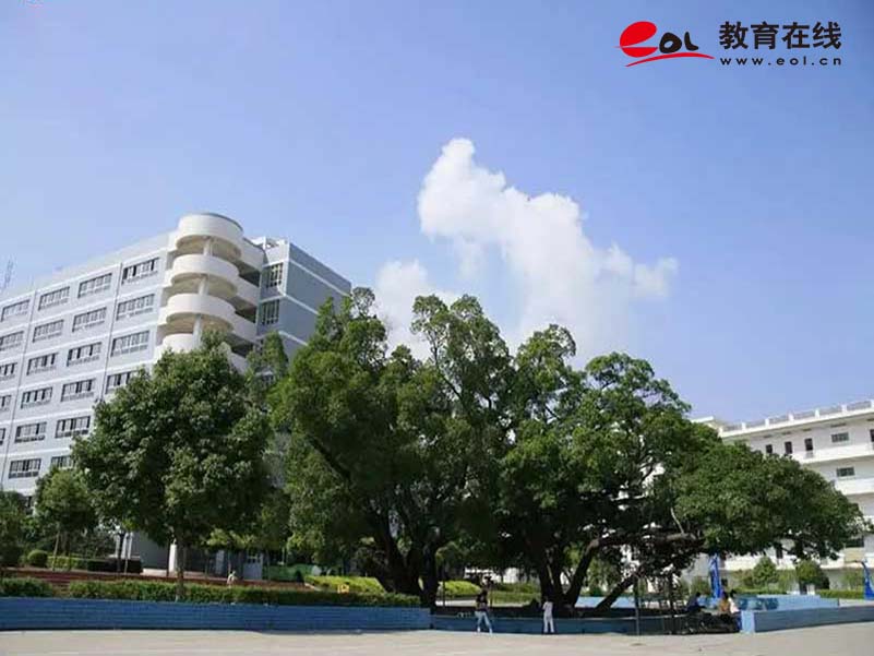 學校校園風光