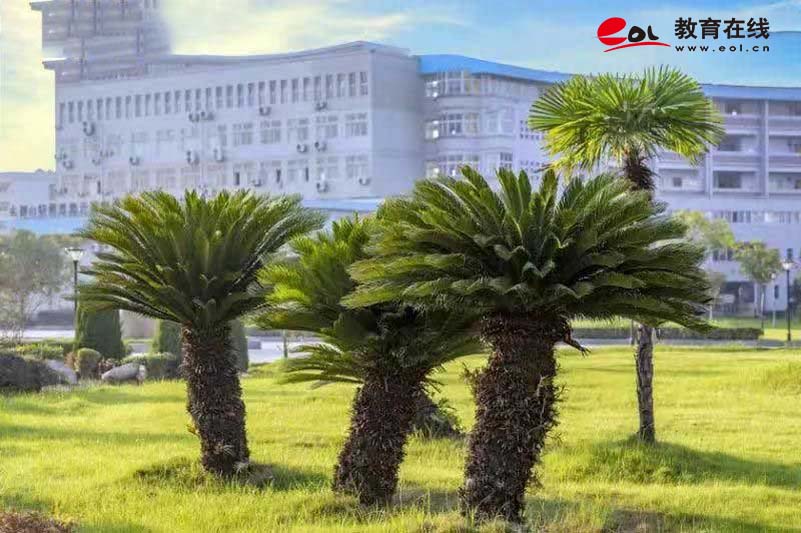 黃岡師范學院繼續教育學院校園風光