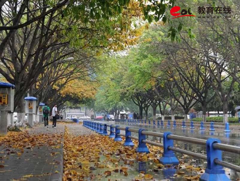 四川大學成人繼續教育學院校園風光