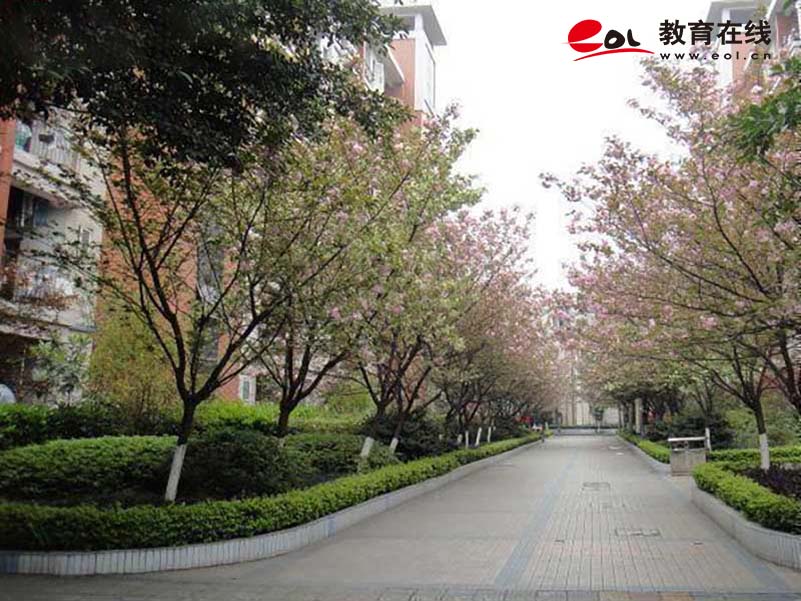 重慶開放大學校園風光