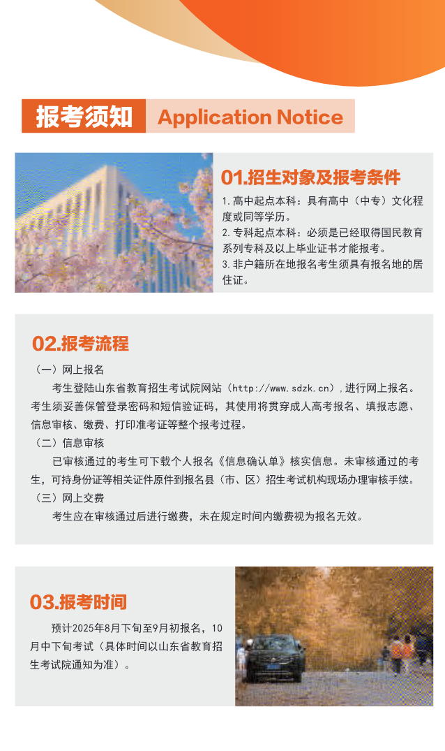 青島大學2025年高等學歷繼續教育招生簡章
