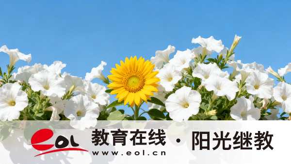 北京成人高考本科報考門檻高嗎？學習形式有幾種？
