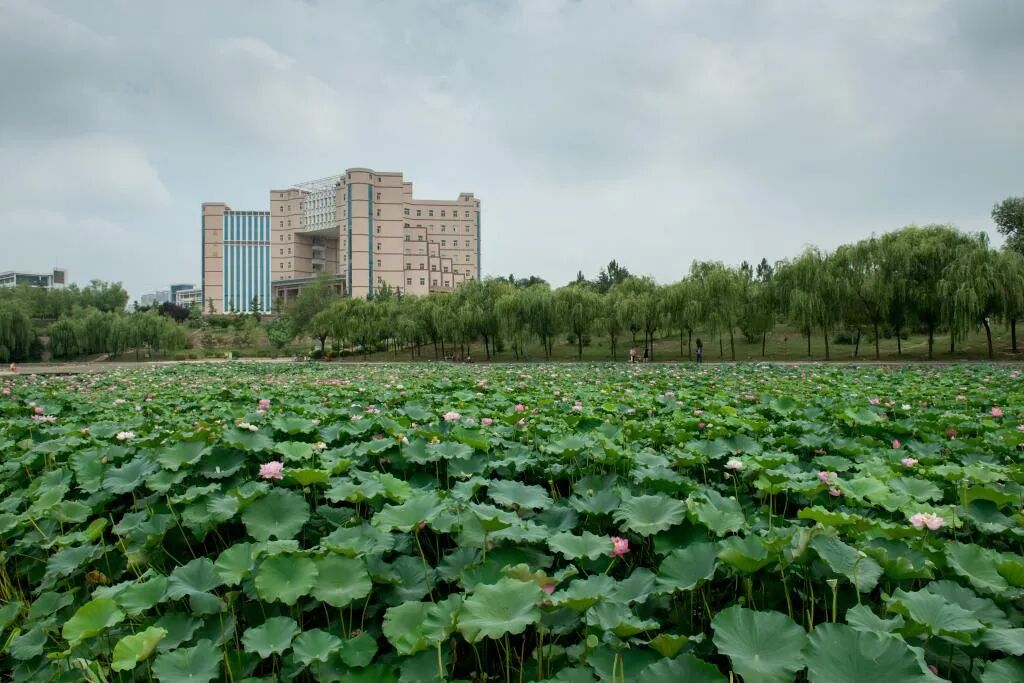 河南工程學院2026年高等學歷繼續教育招生預告
