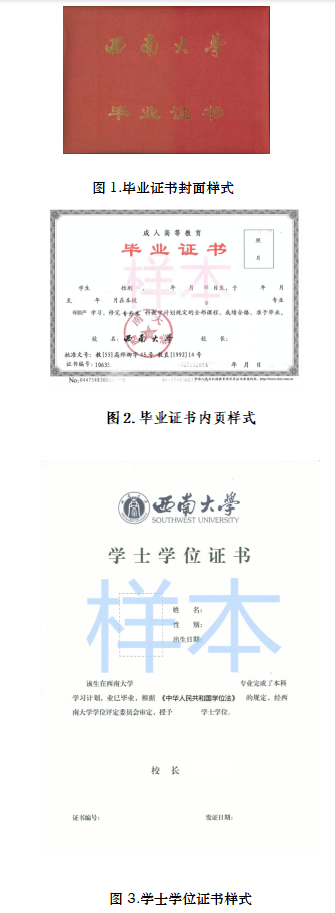 西南大學高等學歷繼續教育2026年招生簡章