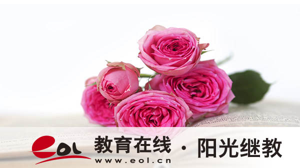 陜西成人高考報名系統是什么？怎么報名？