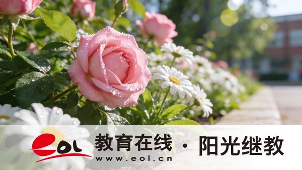 湖北成人高考專科報名流程有哪幾步?讀了有用嗎? 湖北成人高考專科報名流程有哪幾步?讀了有用嗎?