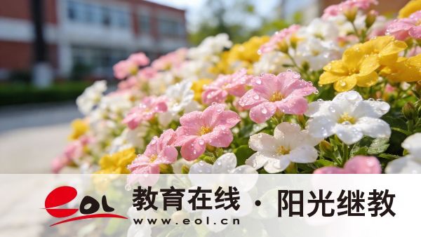 2026年安徽合肥成人高考有哪些考試科目?適合哪些人報考? 2026年安徽合肥成人高考有哪些考試科目?適合哪些人報考?