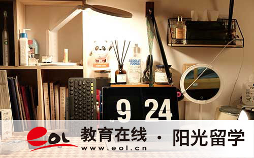 梅西大學的專業設置