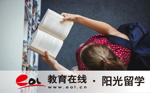 2024國內中外合作辦學哪些學校有藝術專業