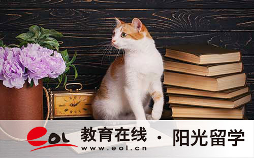 留學托福成績要求多少才能畢業