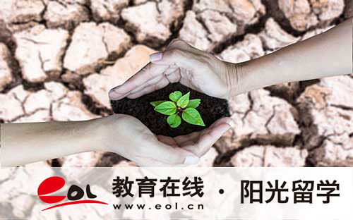 切爾西藝術與設計學院排名及申請條件