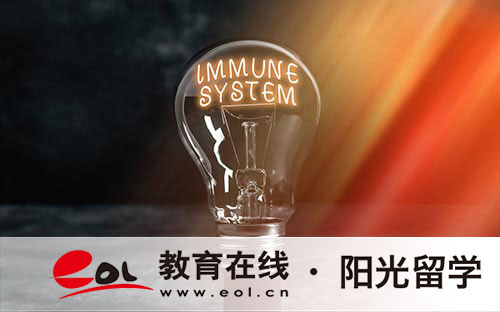 2024浙大國際班學歷是什么