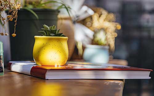 風景園林專業全球排名