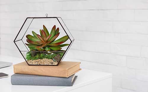 插畫德國留學專業碩士就業方向