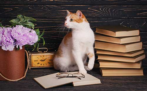 影視留學大學，影視專業留學院校推薦