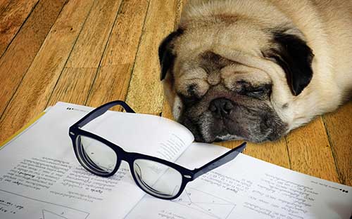 浙江專業國際本科怎么選