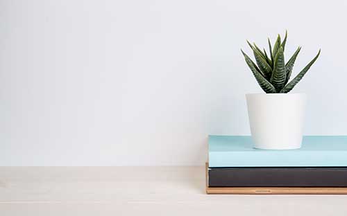 影視制作專業留學招生條件