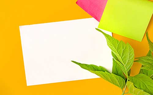 國際本科有國內畢業證嗎