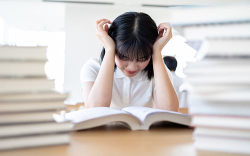 阿爾泰國立大學藝術專業留學費用