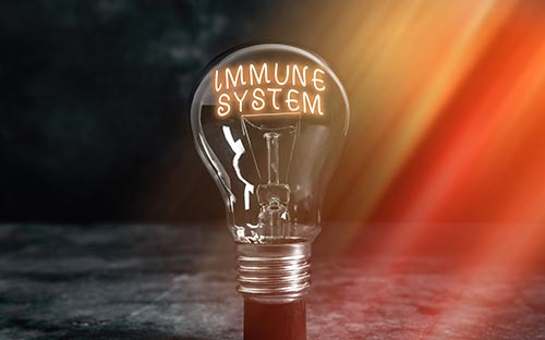 上海學生怎么選擇國際高中，讀上海國際高中好嗎