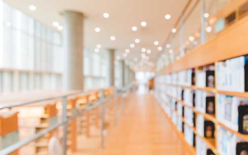 橫琴哈羅禮德學校地址