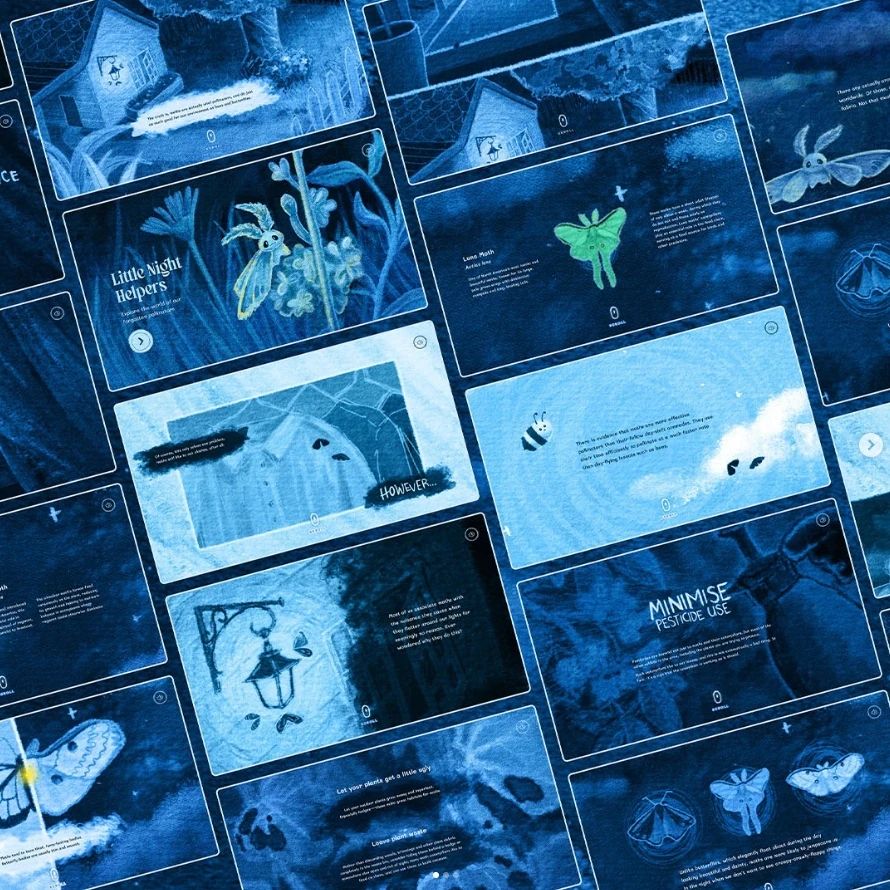 就業率高達98%，新西蘭媒體設計學院的這些專業，閉眼沖！