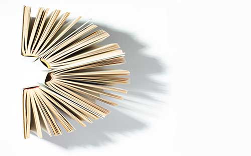 國際本科一般哪些專業有