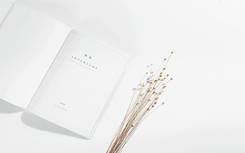 圣路易斯瑪麗維爾大學專業