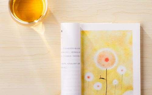 馬薩諸塞大學阿默斯特分校有藝術專業嗎