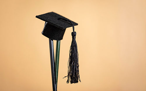 神奈川大學本科專業有什么