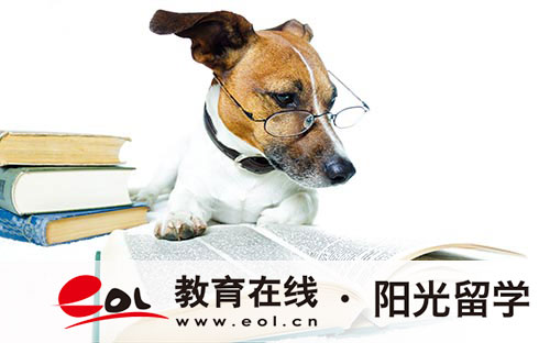 高中畢業申請美國留學申請條件及途徑介紹