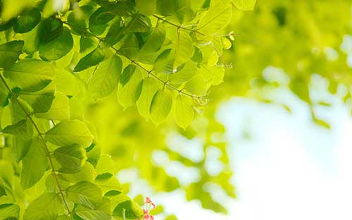 武宣縣自考的網上報名平臺是什么？對學歷是否存在限制？
